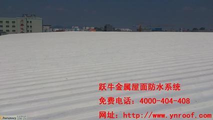 漳州工廠廠房鋼結(jié)構(gòu)金屬屋面防水補漏維修工程供應(yīng)承接
